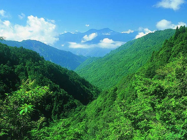 【太平山森林遊樂區】